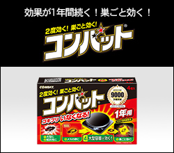 �R���o�b�g