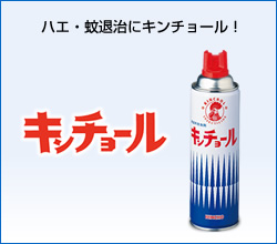 �L���`���[��