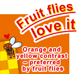 Fruit flies love it