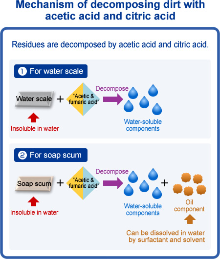 Mechanism of decomposing dirt with acetic acid and citric acid