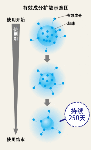 有效成分扩散示意图