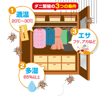 ダニ繁殖の３つの条件 1適温 2多湿 3エサ