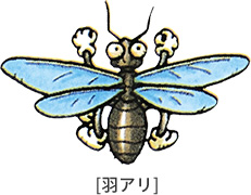 生態と種類を知る アリとシロアリ ウルトラ害虫 がいちゅう 大百科 Kincho