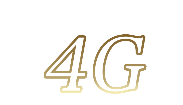 DIGITAL KINCHO 4G デジタルキンチョウ　フォージー（4種のゴキブリ製品）