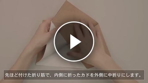 超難解折り紙 新聞広告 Kincho 大日本除虫菊株式会社
