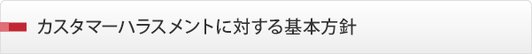 �J�X�^�}�[�n���X�����g�ɑ΂����{���j