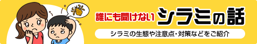 誰にも聞けないシラミの話