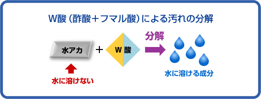 W酸（酢酸＋フマル酸）による汚れの分解