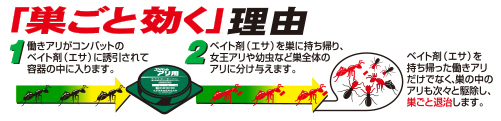 「巣ごと効く」理由　1.働きアリがコンバットのベイト剤（エサ）に誘引されて容器の中に入ります。　2.ベイト剤（エサ）を巣に持ち帰り、女王アリや幼虫など巣全体のアリに分け与えます。　ベイト剤（エサ）を持ち帰った働きアリだけでなく、巣の中のアリも次々と駆除し、巣ごと退治します。