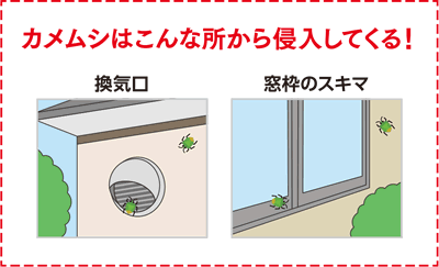 カメムシはこんな所から侵入してくる！ 換気口 窓枠のスキマ