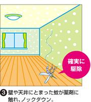 (3)壁や天井にとまった蚊が薬剤に触れ、ノックダウン。 確実に駆除