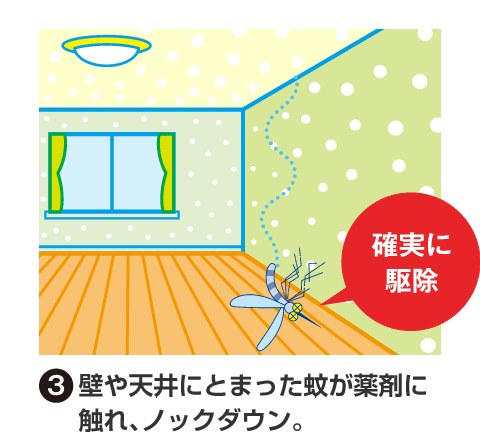 (3)壁や天井にとまった蚊が薬剤に触れ、ノックダウン。 確実に駆除