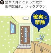 (3)壁や天井にとまった蚊が薬剤に触れ、ノックダウン。 確実に駆除