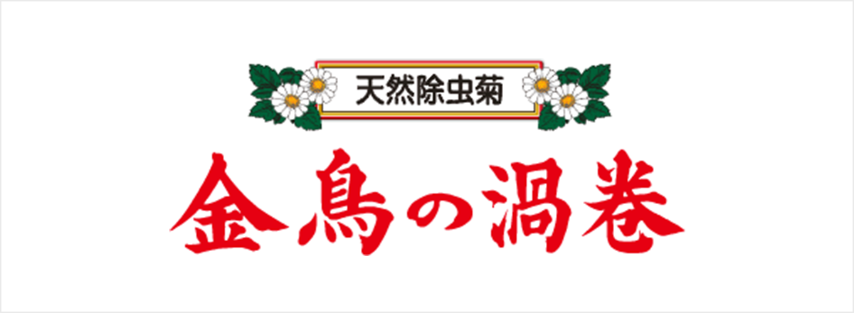 天然除虫菊 金鳥の渦巻