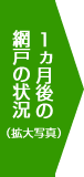 １ヵ月後の網戸の状況（拡大写真）