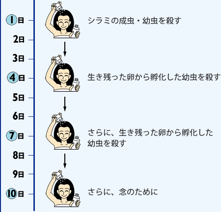 スミスリン L シャンプータイプ シラミの駆除 対策に Kincho