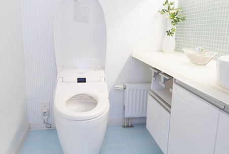 トイレ掃除に 水流だけでは取れない汚れに直射スプレー こびりついた黄ばみには酸のチカラ Kincho