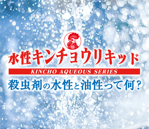 殺虫剤の水性と油性って何？ スペシャルサイト