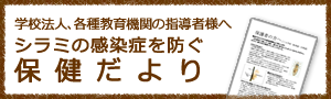 学校法人、各種教育機関の指導者様へ　シラミの感染症を防ぐ保健だより