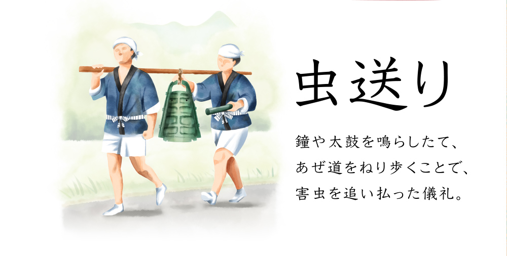 虫送り 鐘や太鼓を鳴らしたて、あぜ道をねり歩くことで、害虫を追い払った儀礼。