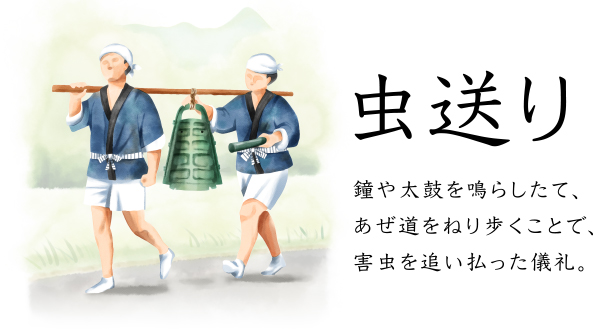 虫送り 鐘や太鼓を鳴らしたて、あぜ道をねり歩くことで、害虫を追い払った儀礼。